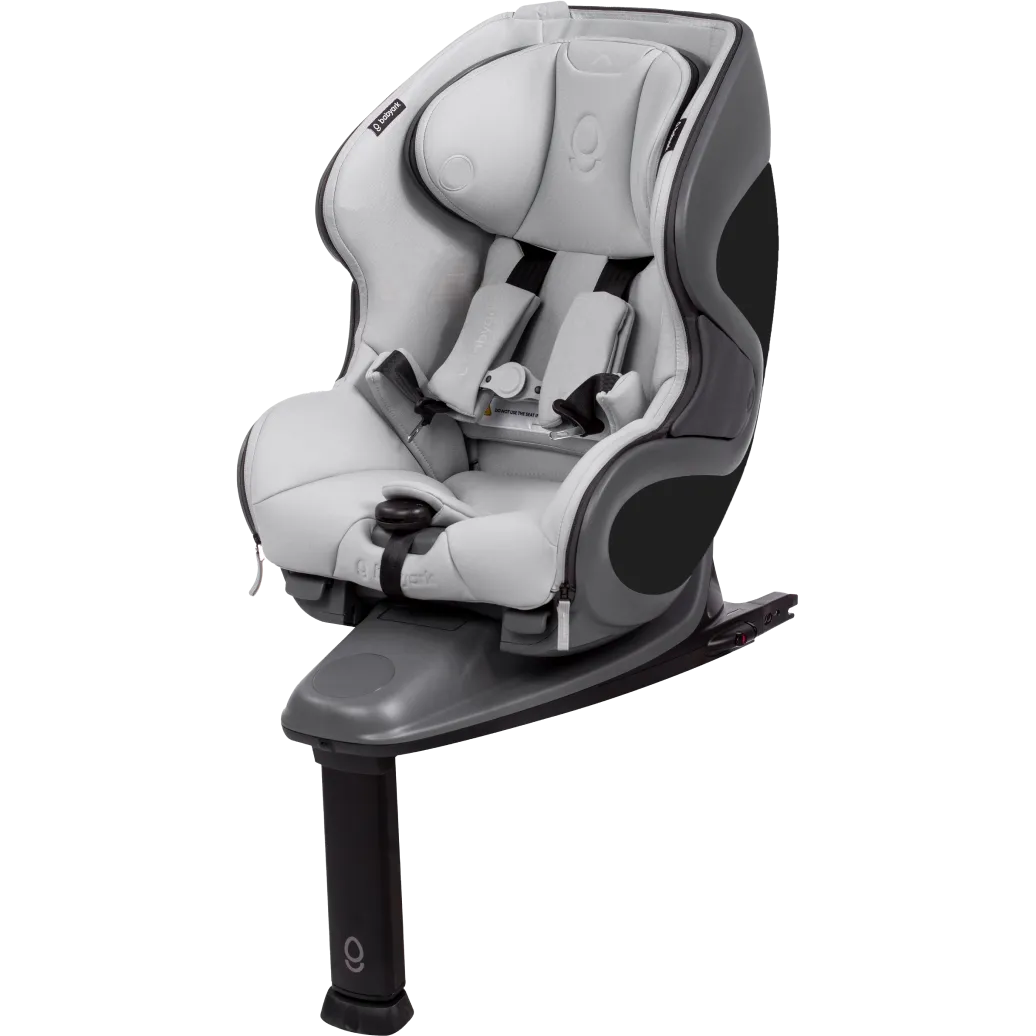 Babyark Classic Convertible Car Seat